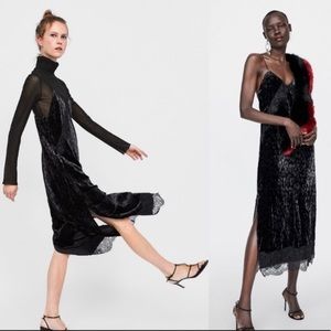 Zara Velvet Animal Print Dress